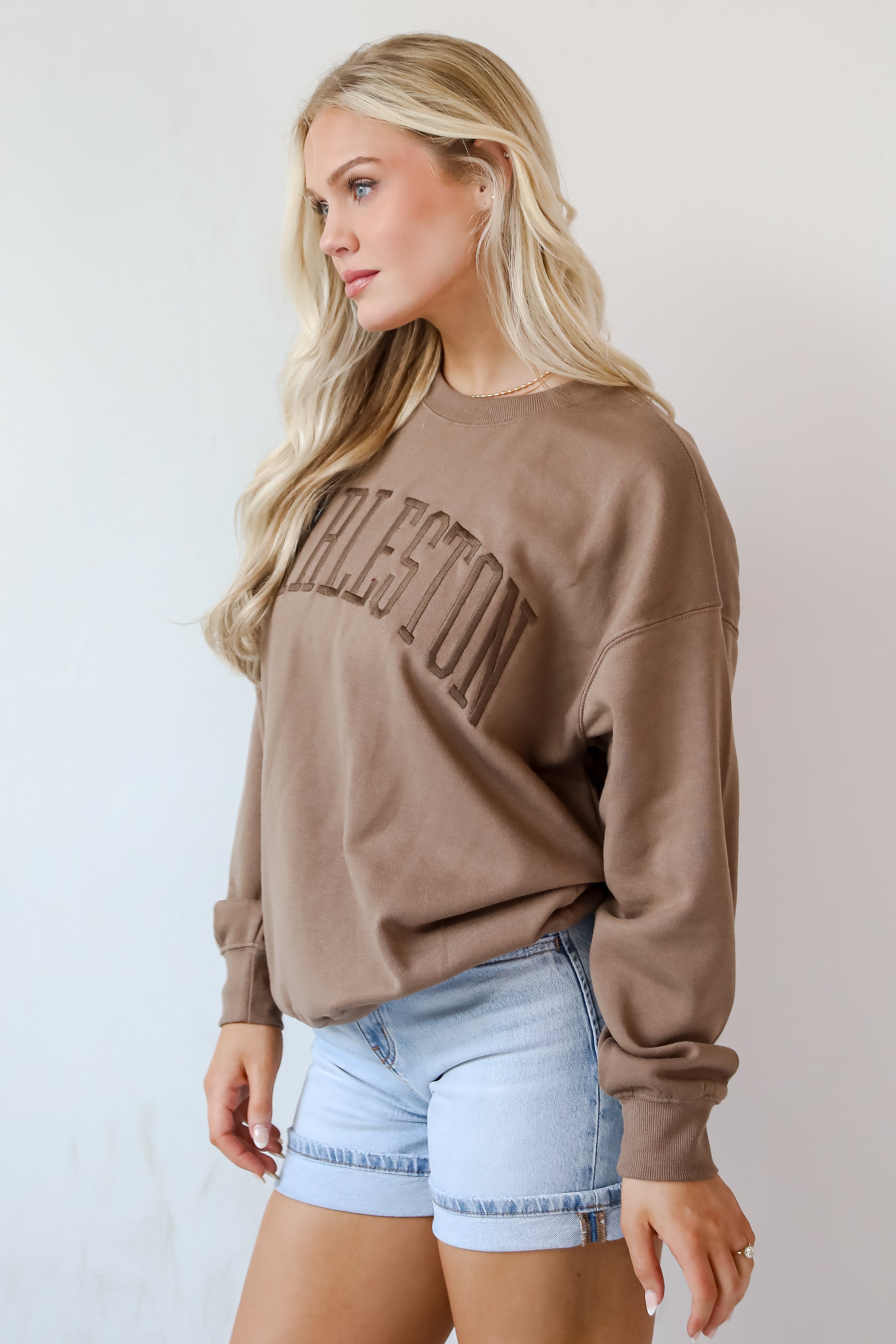 Brown Charleston Embroidered Sweatshirt