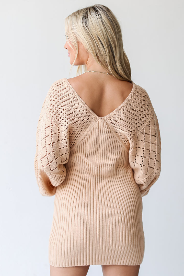 Sweater Mini Dress back view