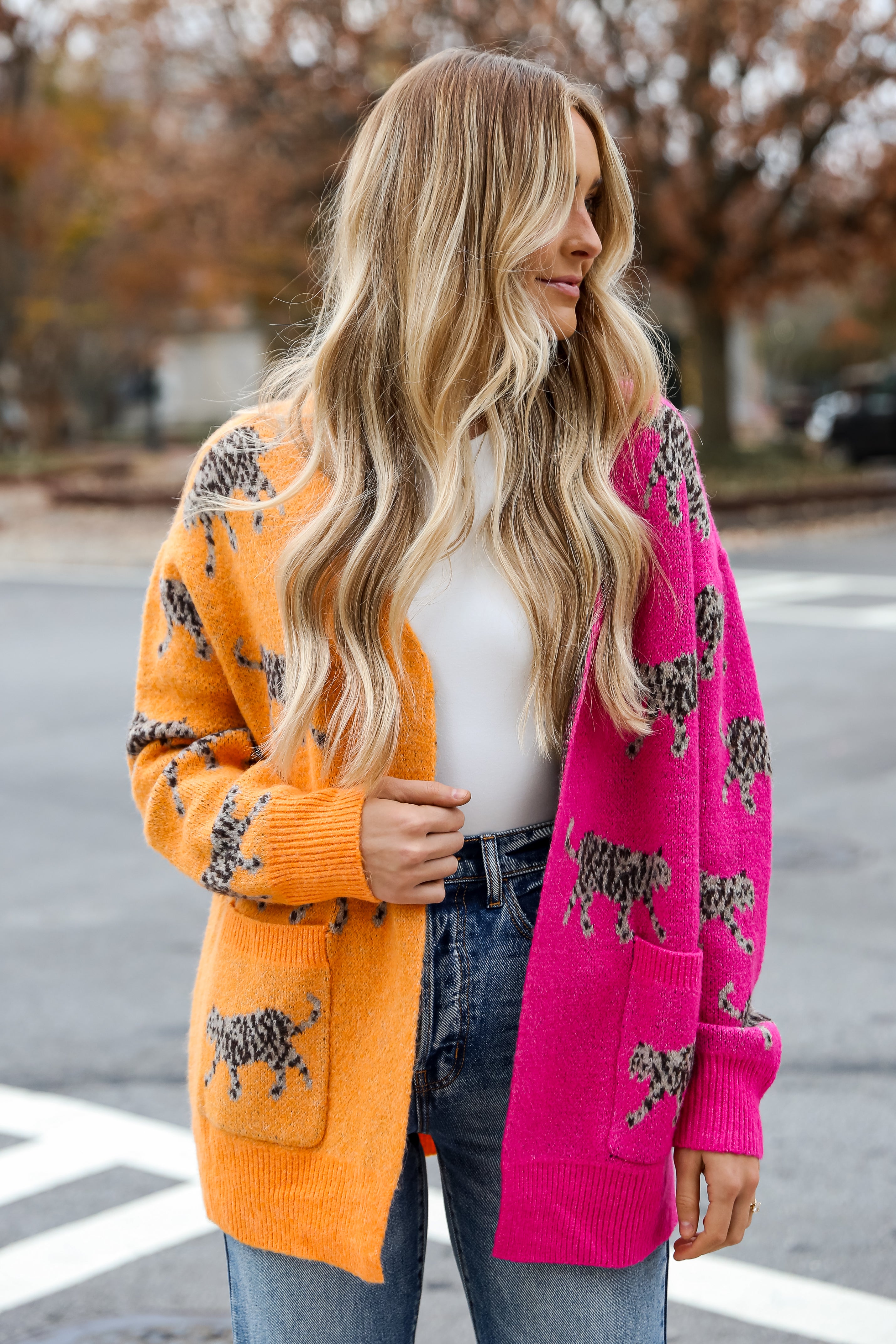 Color Block Tiger Cardigan