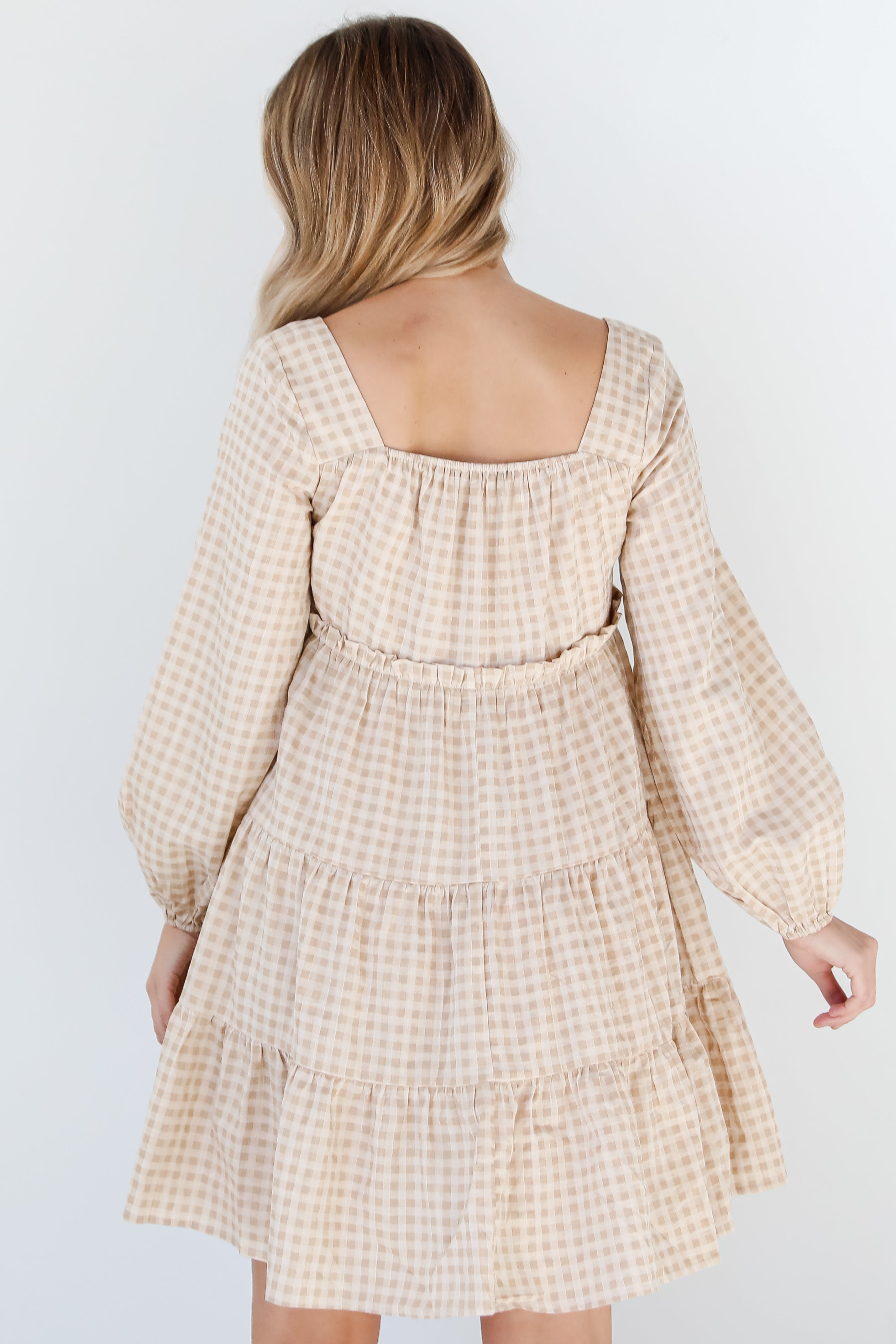 Gingham Mini Dress back view