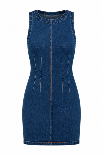 Making Memories Denim Mini Dress
