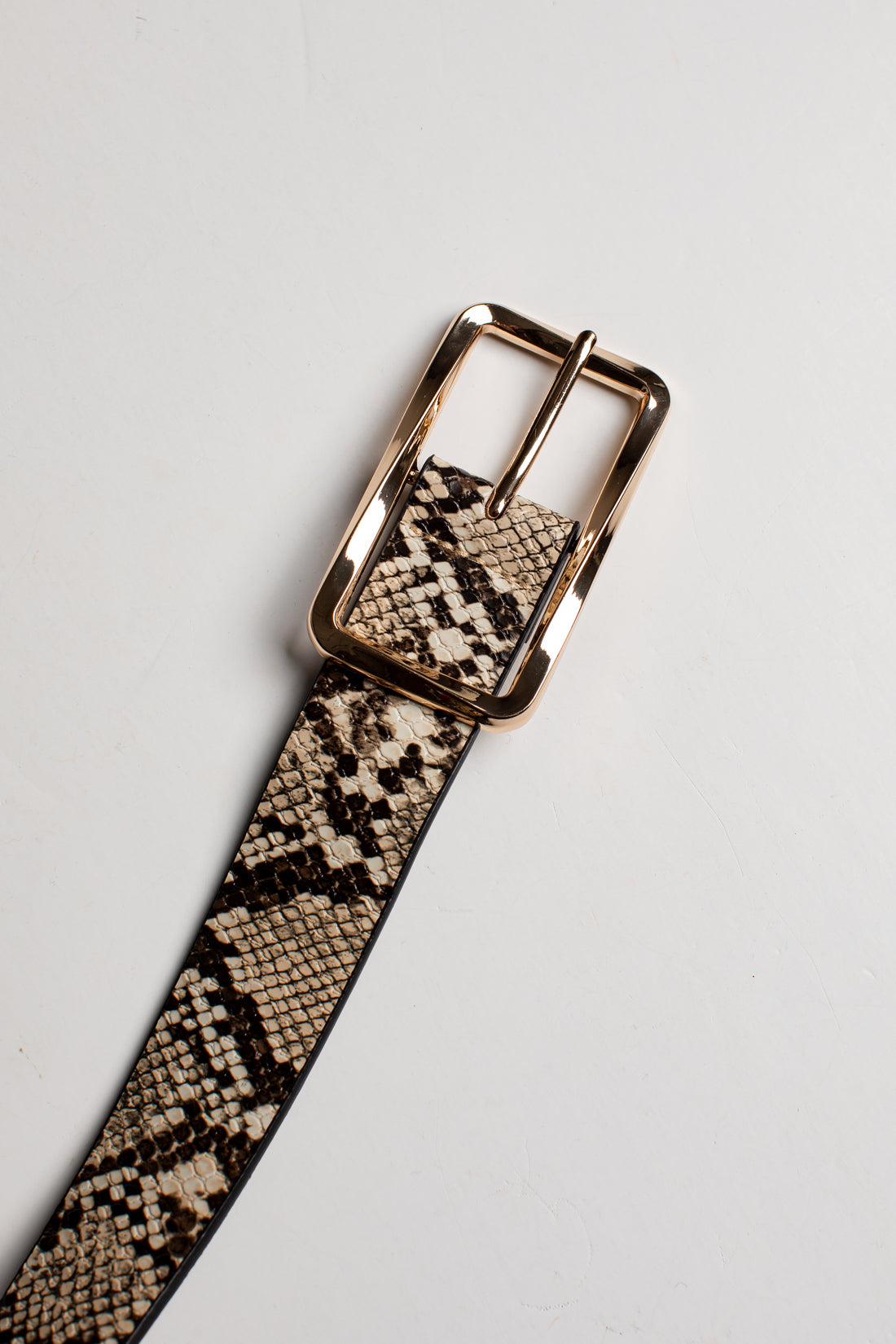 Style Instinct Snake Print Belt