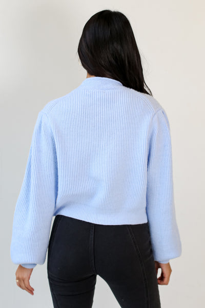blue Sweater Cardigan back view