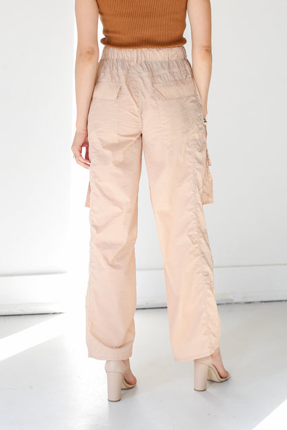 blush Cargo Pants back view