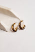 A pair of gold and dark brown twisted hoop earrings resting on a light beige stone prop against a clean white background.