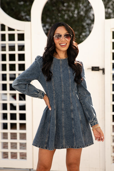 in the style denim dress A Denim Dress 7 Ways