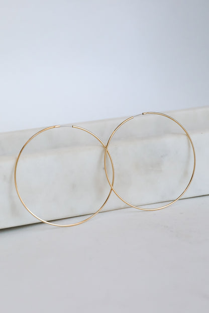 Sloane Large Hoop Earrings