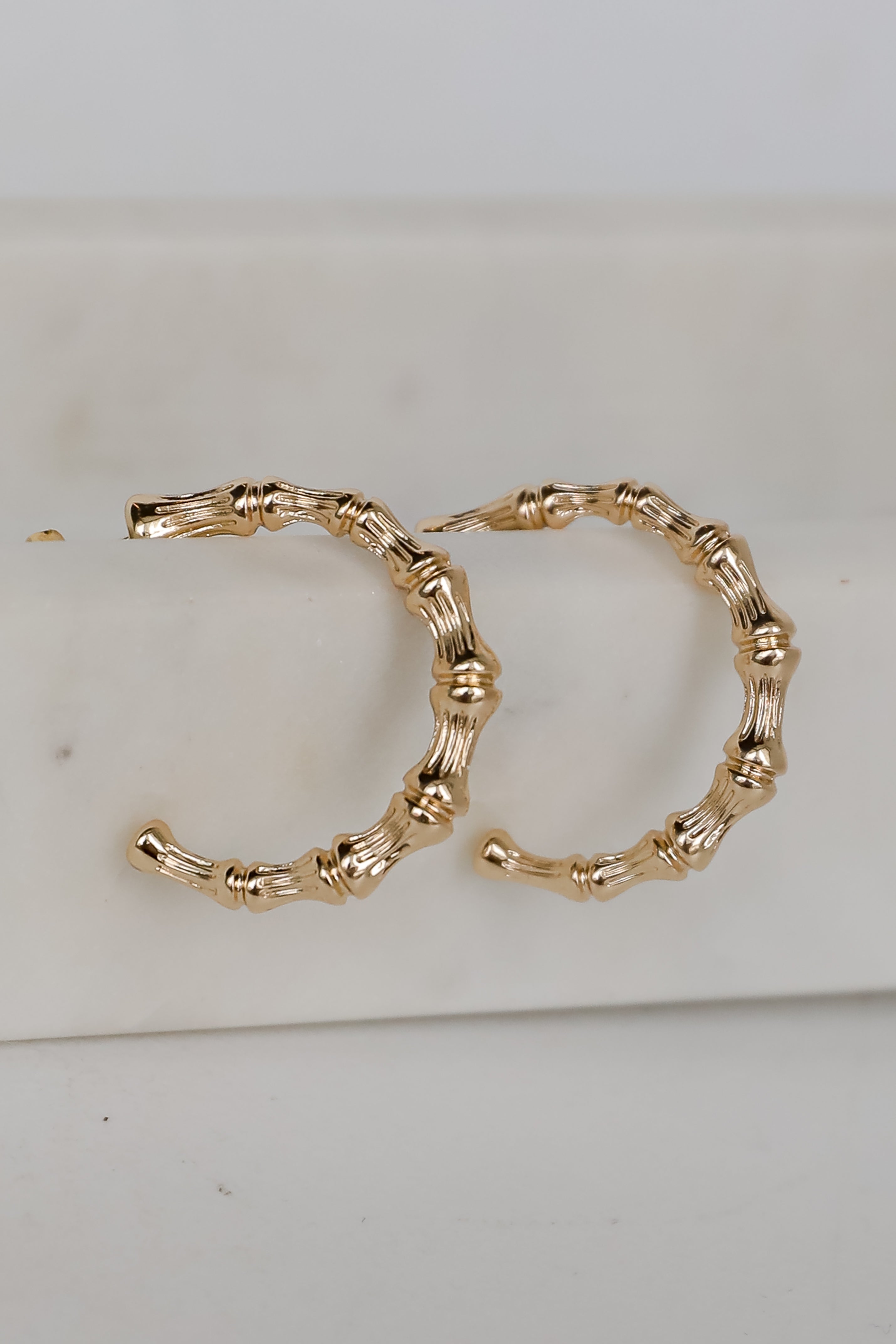 Delaney Gold Textured Hoop Earrings