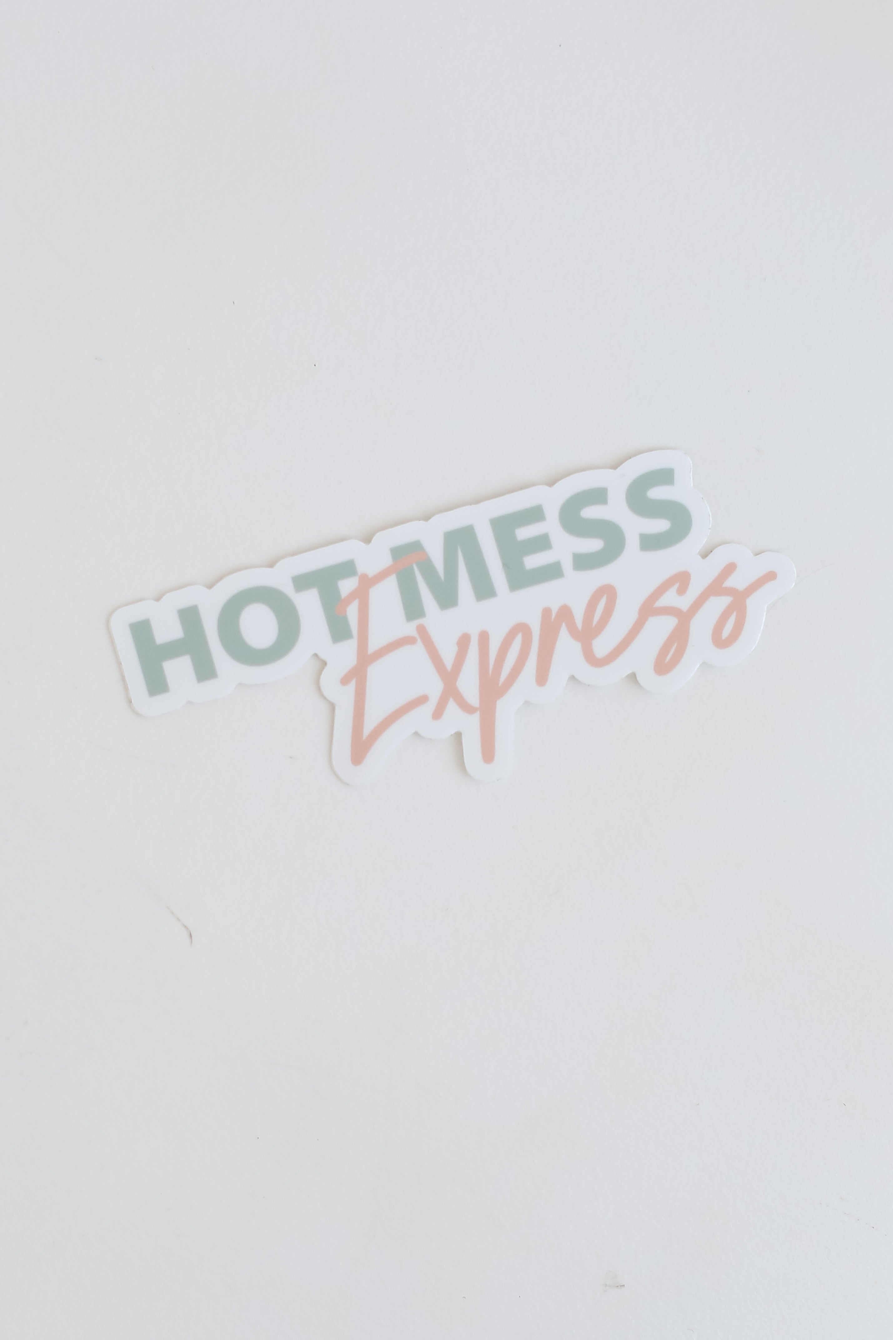 Hot Mess Express Sticker | DU Exclusives | Dress Up