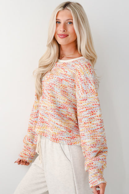 Toasty Charm Multi Sweater