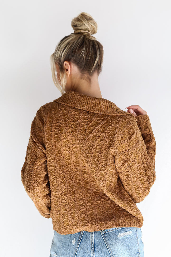 Camel Collared Sweater back view