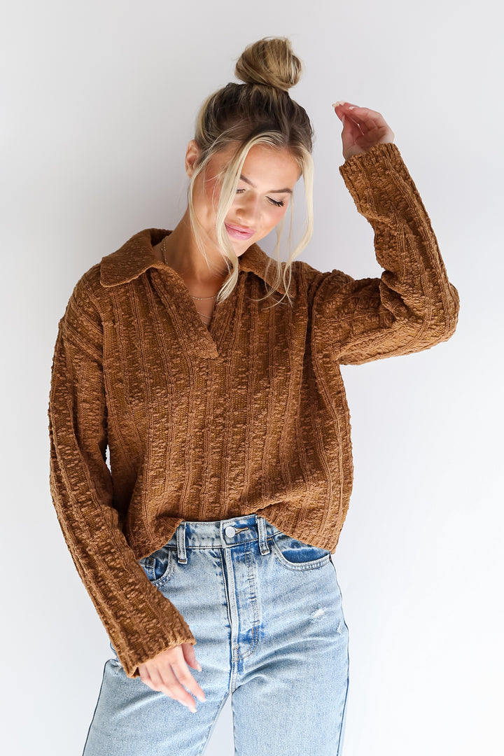 trendy Camel Collared Sweater