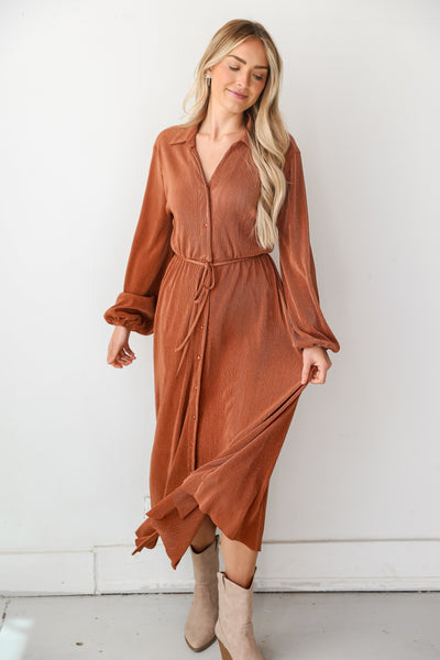 Camel Plisse Maxi Dress on dress up model