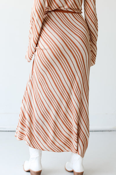 Striped Maxi Skirt back view