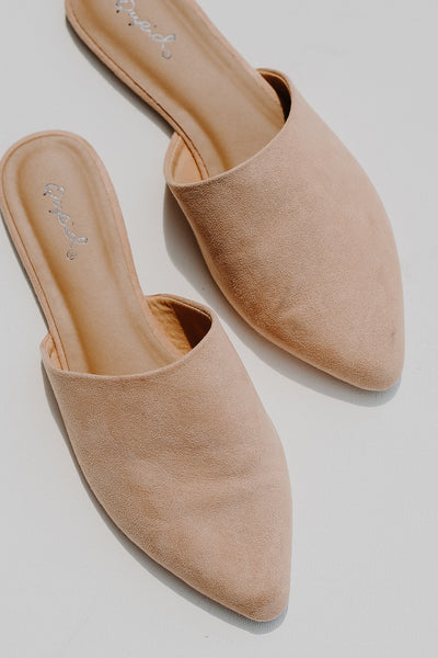 Pointed Toe Mules flat lay