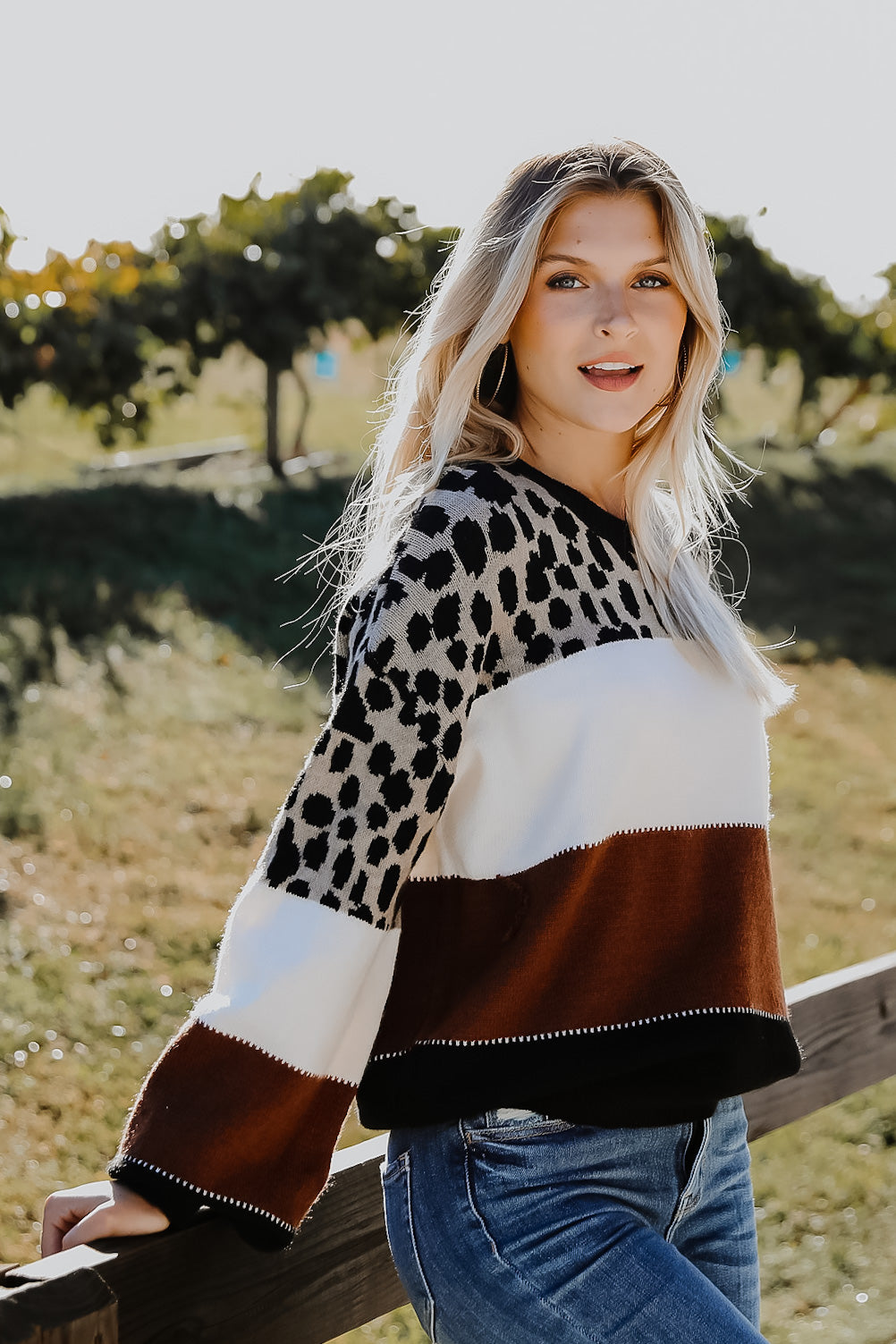 Leopard Color Block Sweaterc