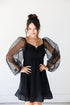 black mesh sleeve mini dress