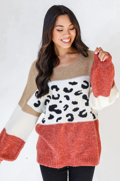Leopard Color Block Sweater on dress up model