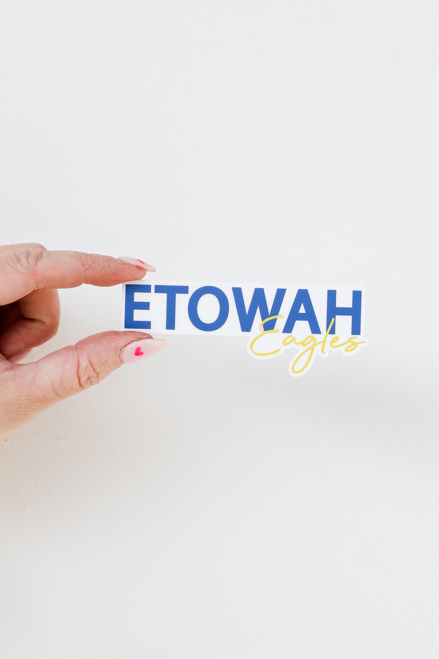 Etowah Eagles Sticker flat lay