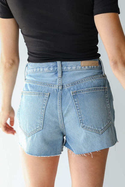 Distressed Denim Shorts back view