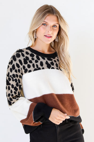 Leopard Color Block Sweater front view