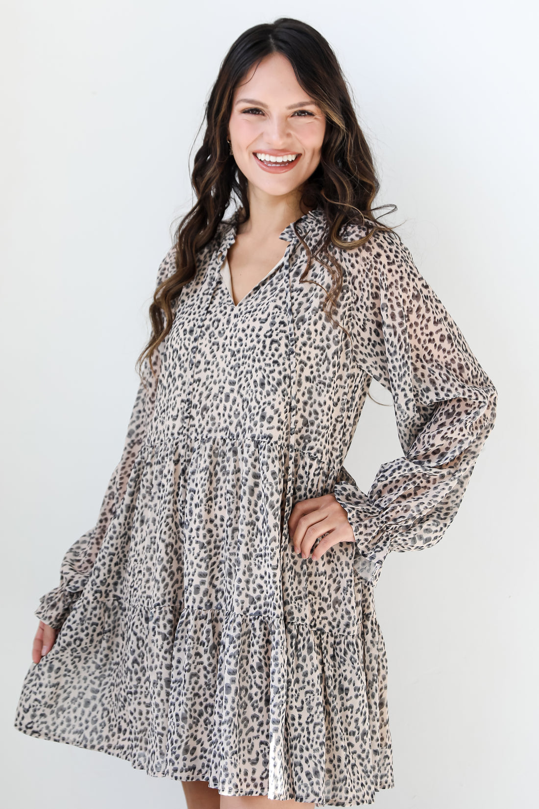 Leopard Mini Dress