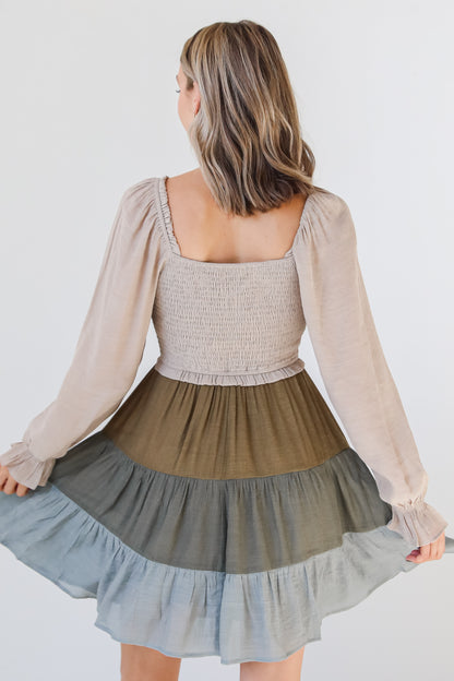 Tiered Color Block Mini Dress back view