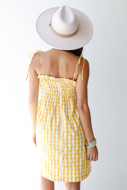 Gingham Mini Dress back view